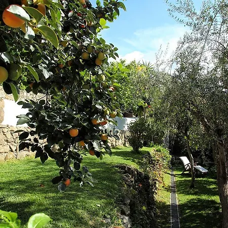 Torre Di Sebastiano * Gaggi